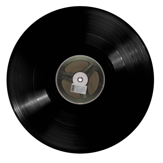 Nebelhaus - NDH [Vinyl]